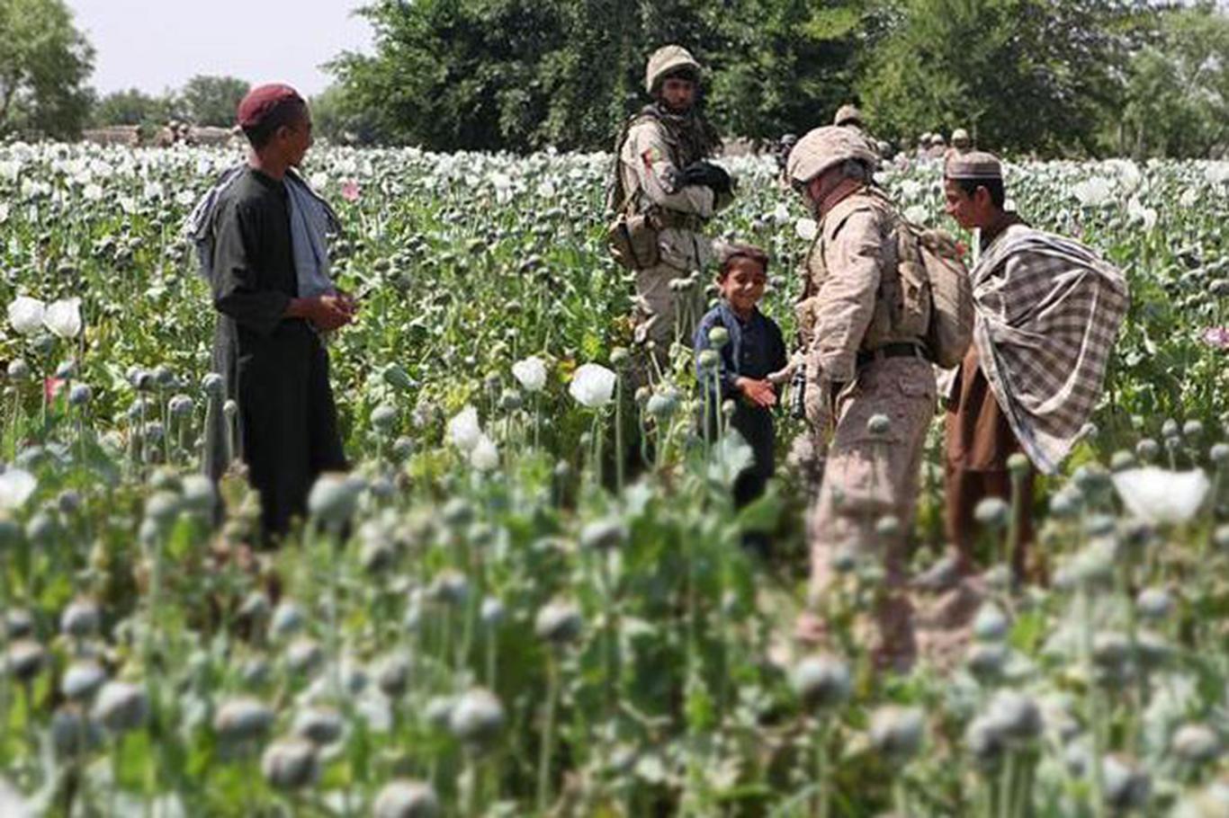 Emperyalistler Afganistan’ı uyuşturucu üretim merkezi yaptılar